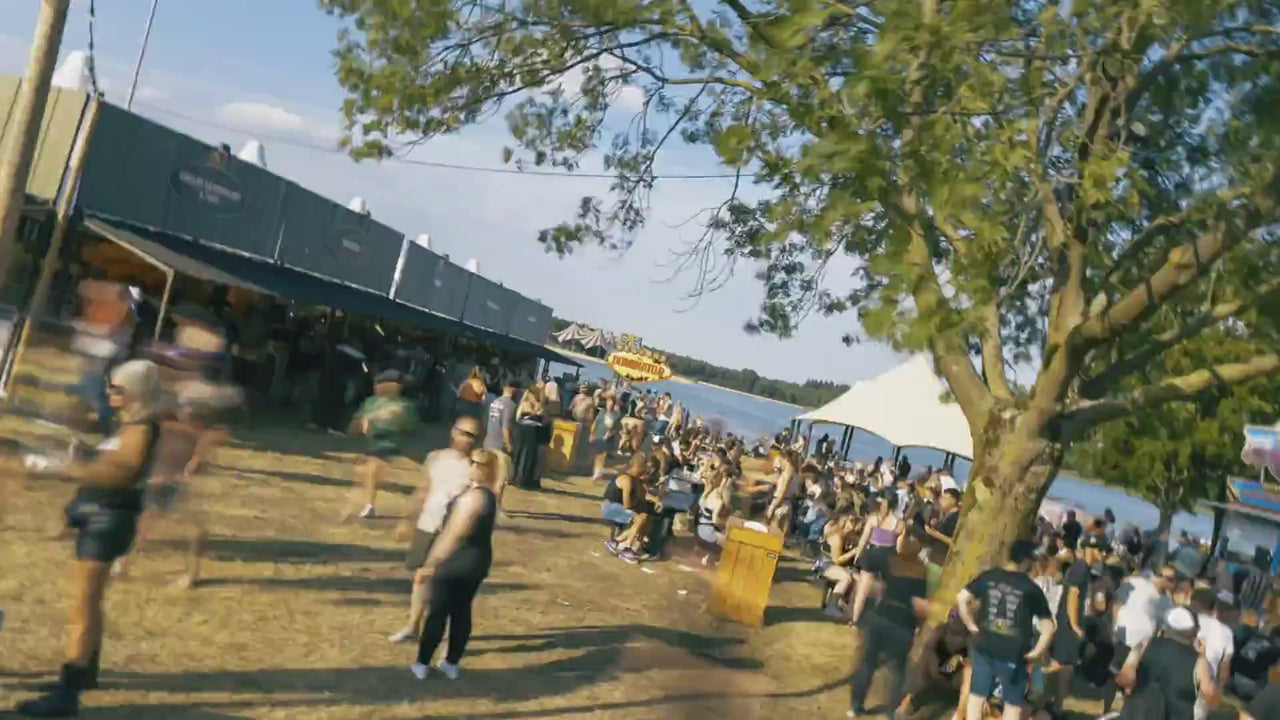 Dominator image