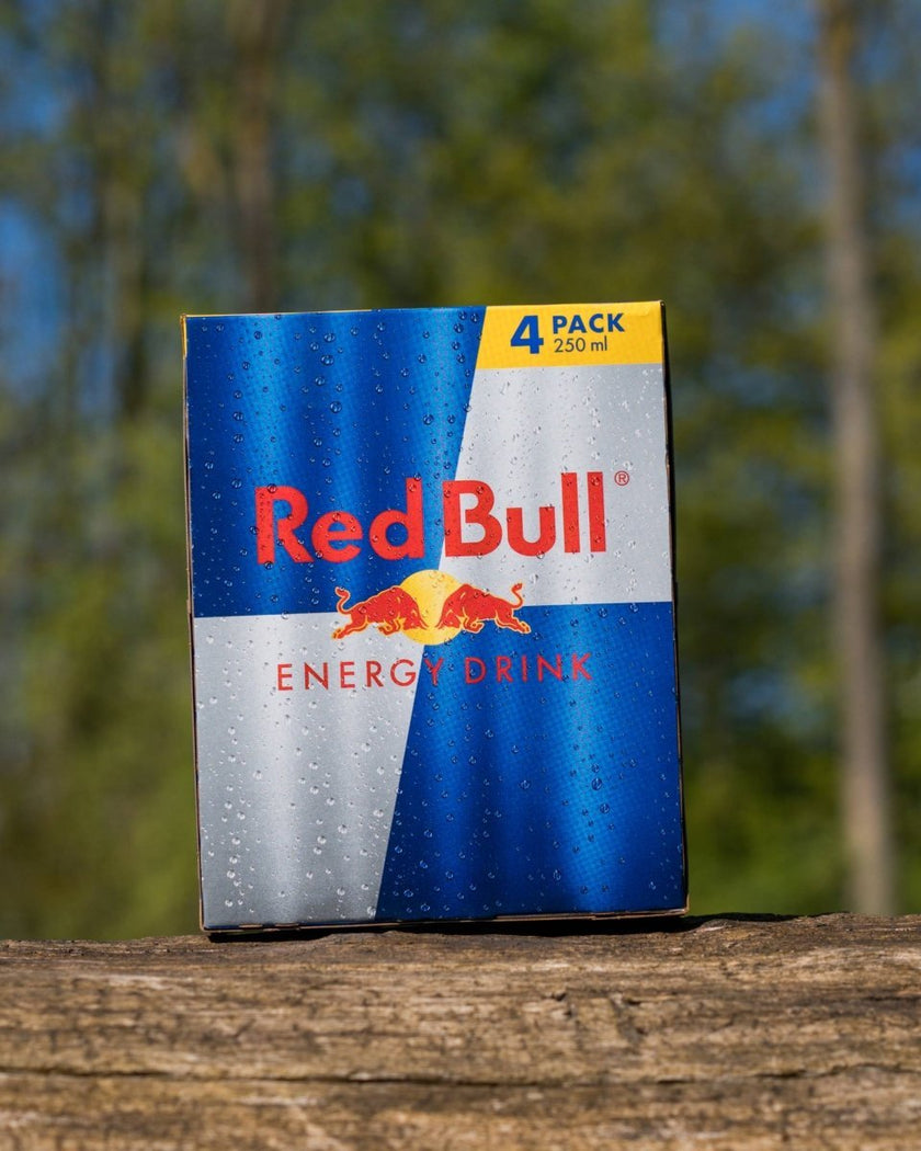 Red Bull 4 - pack - Dominator Festival Store - 